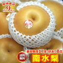 2026年9月分予約 【全額返金】訳あり 最高糖度17度 梨 長野 減農薬 南水梨 約9キロ 24〜30個入 南水 産地直送 ※ ふるさと納税 ではありません ...