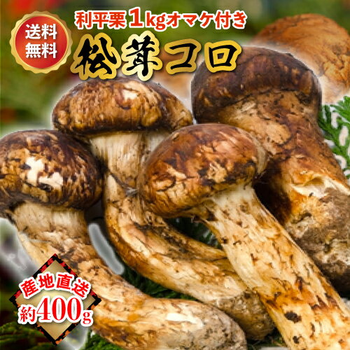 松茸 400g 前後 マツタケ 国産 まつたけ コロ ミニサイズ 岡山県 産地直送 秋 旬の味覚の王様 高級キノコ 新鮮 焼き…