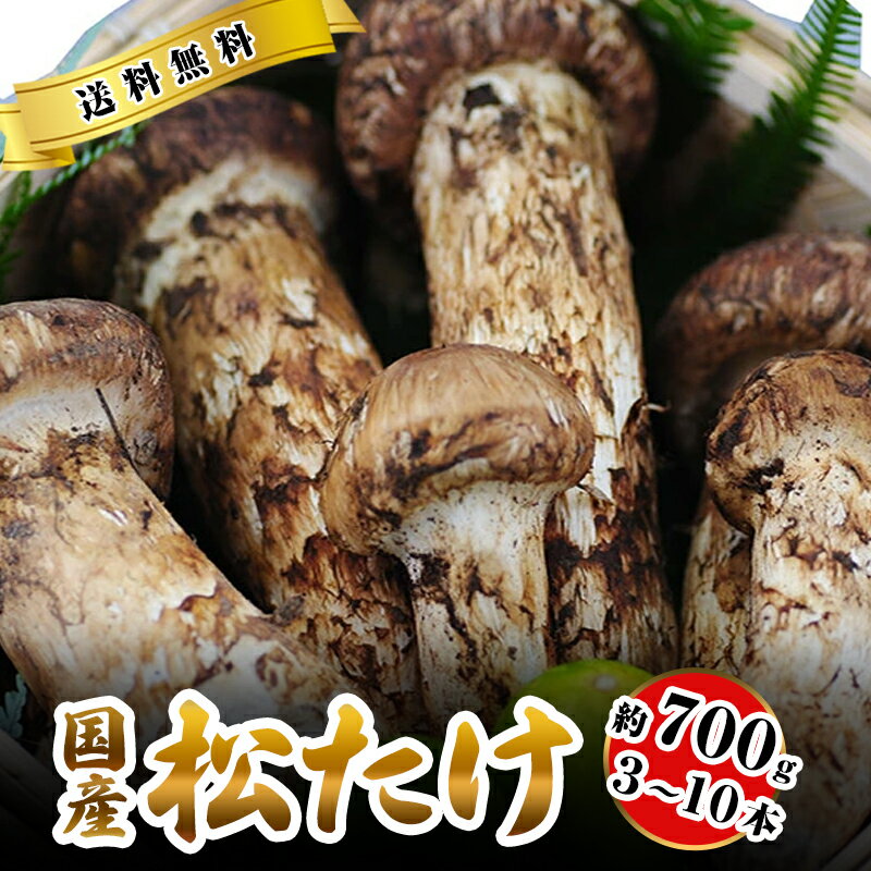 国産 松茸 中つぼみ(半開き) 約700g 3～10本程度 まつたけ マツタケ 岡山 ギフト 松茸 1kg 岡山県 高級..