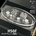 表札 ステンレス アクリル マンション シンプル クール artmark アートマーク 【クリアアレンジ ステンレス HS0F】おしゃれ ネーム プレート オーダーメイド