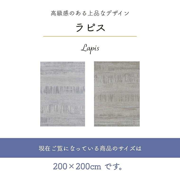 ラグ カーペット 200×200 ラグマット ウィルトン織り ラピス ヒートセット加工 リビング センターラグ 絨毯 高耐久 遊び毛が出にくい モダン エレガント ヴィンテージ へたりにくい 上品 ベルギー製 おしゃれ 大一商事 cup5 [2]