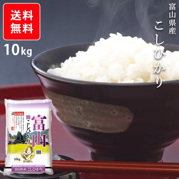 お米 10kg 送料無料 富