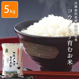 お米 5kg 兵庫県但馬コウノトリ育むお米 白米 安い 【メーカー直送商品】【平日11時までのご注文で3営業日以内に発送】