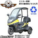 【5月頃入荷、予約】リーガル・ラプター Regal Raptor K1 電動ミニカー トライク 電動スクーター 屋根付き 走行45km リチウムイオン電池 公道 公道走行可能 配送 配達 デリバリー 免許返納 老人 高齢者 移動 充電 通勤 ジャイロキャノピー ラヴィータ 色：ブラックイエロー