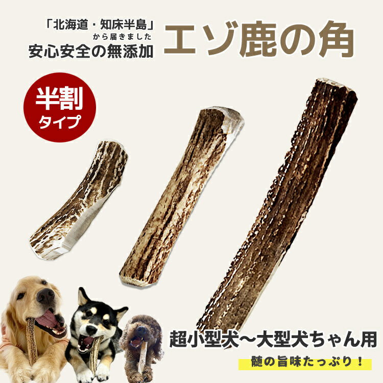 楽天市場】エゾ鹿 角の通販 楽天市場】エゾ鹿 角の通販