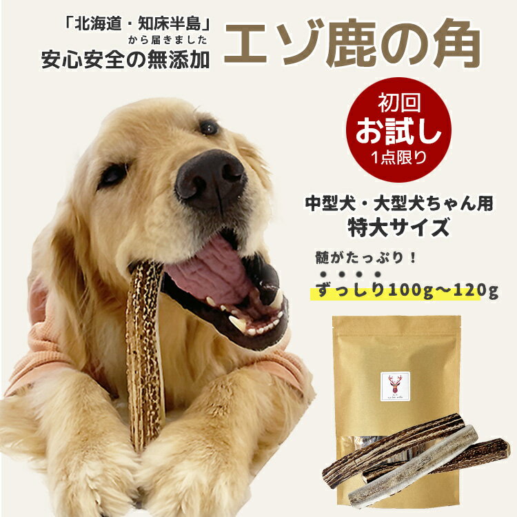 鹿の角 犬【お試し初回購入限定】中型犬～大型犬 20cm～22cm ずっしり！100g～120g（半割り）ガム 無添加 国産 北海道 エゾ鹿の角 硬い 長持ち 噛むおもちゃ 低脂肪 低カロリー ストレス解消 口臭ケア 犬のおもちゃ 噛む おやつ 角ガム【愛犬飼育管理士 監修】