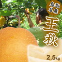 【(2024年11月下旬発送)先行予約】王秋 なし 梨 鳥取県 2.5kg 4~6玉 フルーツ ギフト 自宅用 誕生日 贈答用 贈り物 果物 ジューシー うまい 新鮮 鮮度 酸味 甘さ控えめ みずみずしい おうしゅう 【数量限定】