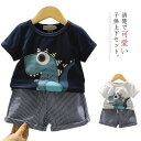 上下セット 子供服 半袖Tシャツ＋ショートパンツ セットアップ 送料無料 男の子 可愛い 恐竜 ベビー ストライプ 夏服 おしゃれ 半袖 80 90 100 110 120 出産祝い