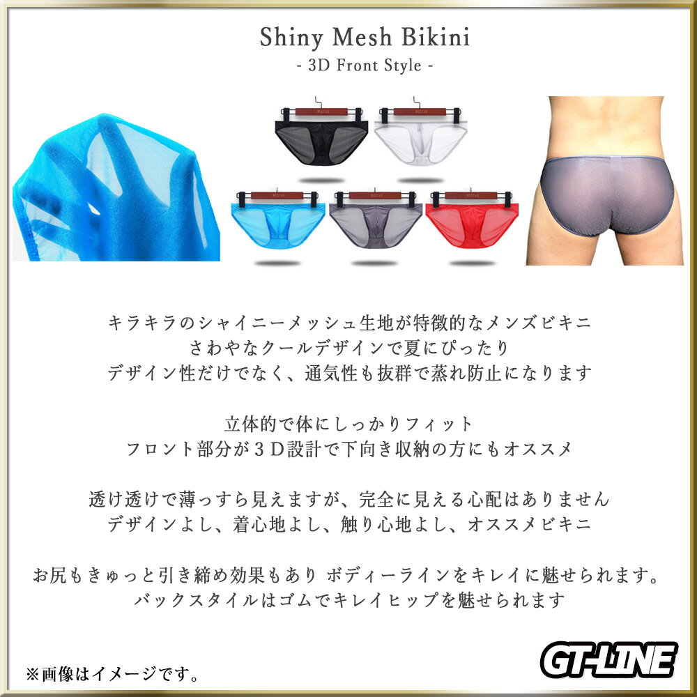 シャイニー メッシュ ビキニ 光沢 半透明 透け透けスタイル 3D ビキニ 速乾 ドライフィット 海 夏 大人 インナー 下向き収納 ビルパン もっこり プリケツ マッチョ GTLINE Favolic ファボリック