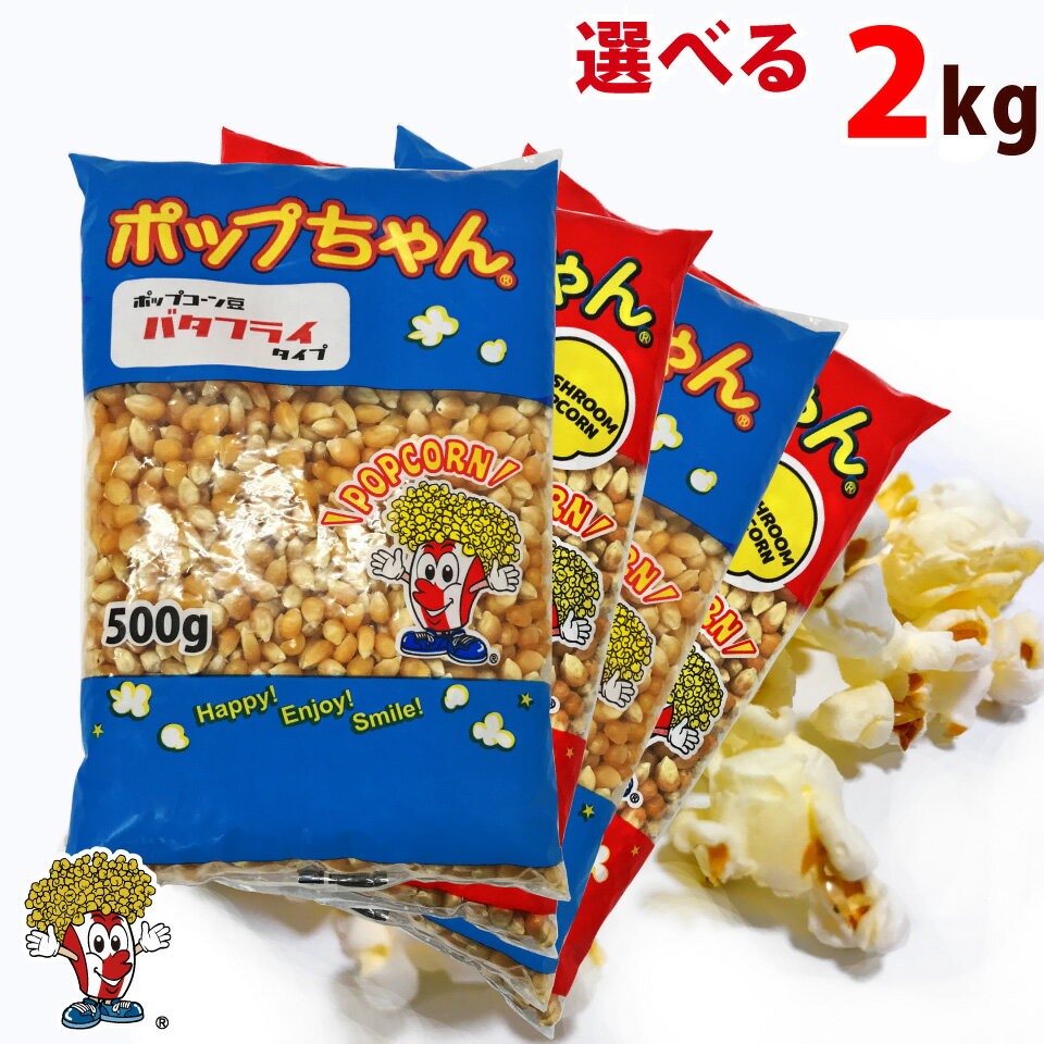 ポップコーン用調味料　カレーパウダー味　1kg【縁日・模擬店・お祭り・映画館・学園祭・販売・レンタル・イベント】