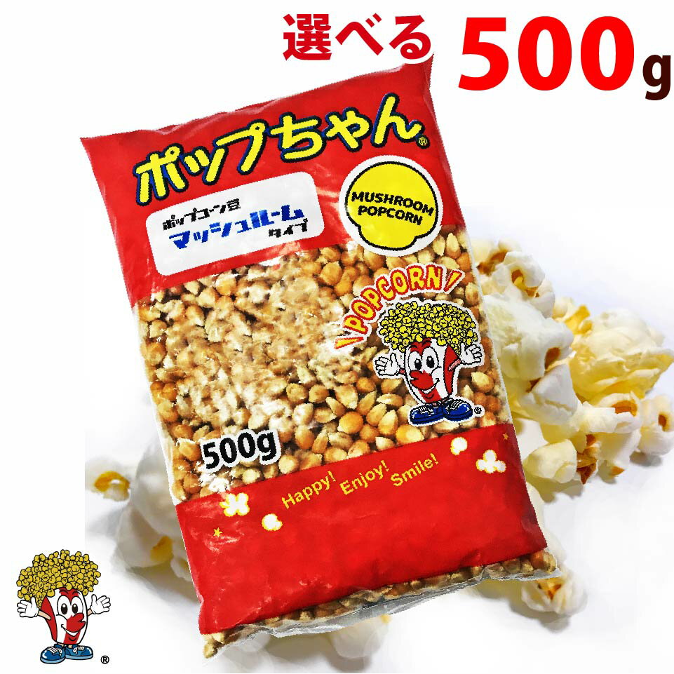 ݥåץƦ500g