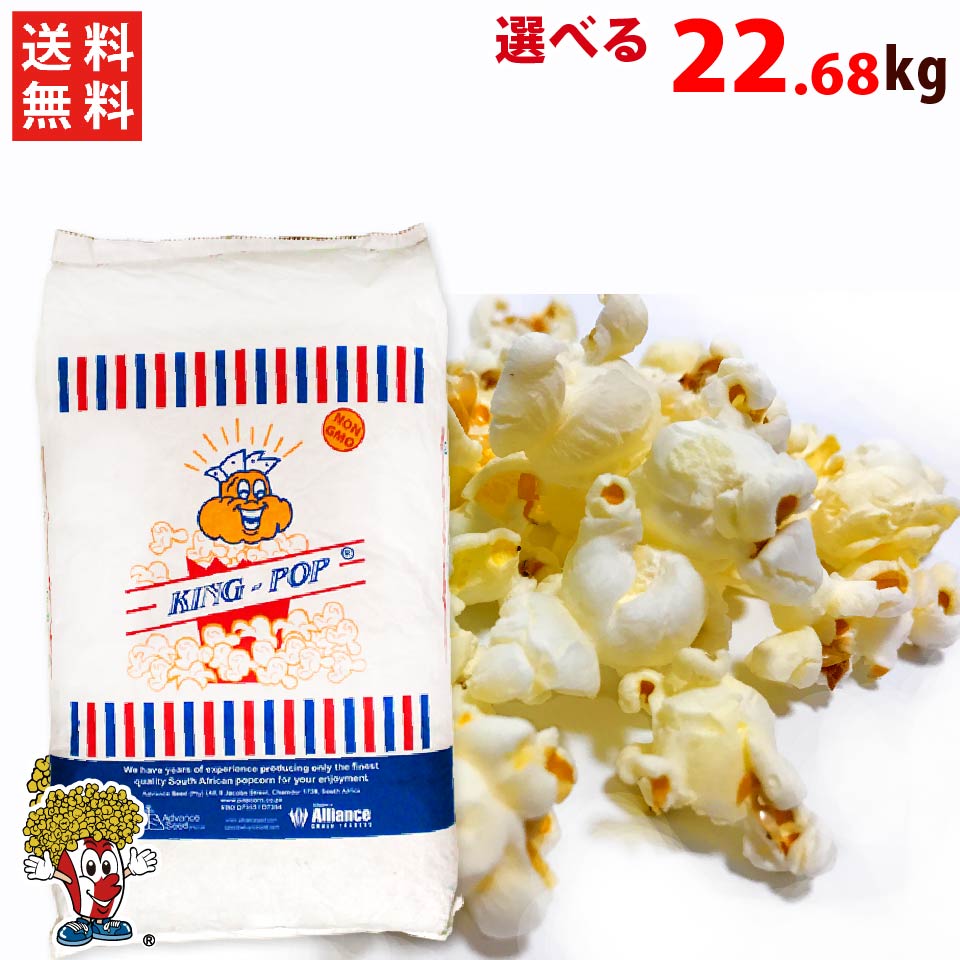 ポップコーン用調味料　カレーパウダー味　1kg【縁日・模擬店・お祭り・映画館・学園祭・販売・レンタル・イベント】