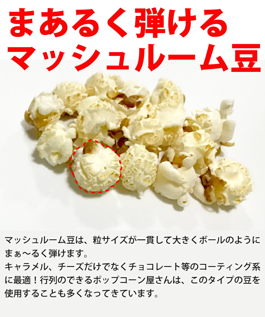 まあるく弾けるマッシュルーム豆