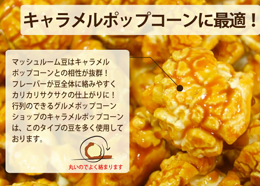 キャラメルポップコーンに最適