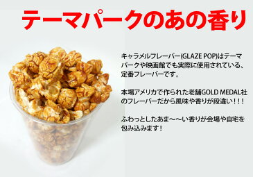 送料無料 ポップコーン キャラメル フレーバー シュガー 113g×48袋 ( 1ケース ) GOLD MEDAL 手作り お菓子 製菓材料 お菓子パーティ