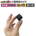 小型カメラ 防犯カメラ 監視カメラ mc-mc100 【あす楽】