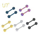 【送料無料】 ピアス 黒 ブラック 青 ブルー レインボー ステンレス スタッドレディース 女性 ピアス黒 シルバー インダストリアル 指輪 外科 虹 バー ボール スタッド 5 ペア パックジュエリー 耳リング(4)