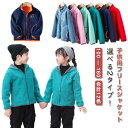 フリースジャケット スタンドカラー 女の子 ふわふわ 子供服 ボアジャケット フリース パーカー ジップアップ キッズ 送料無料 ブルゾン 暖かい ジップパーカー 通園 トップス 送料無料 立ち襟 羽織 アウター フード付き あったか 防寒 部屋着 男の子 通学 秋冬 春 もこもこ