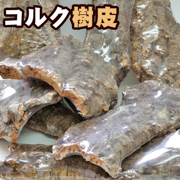 コルク祭　コルク樹皮　Mサイズ※形状は様々です（1枚）【爬虫類・両生類】【新着】