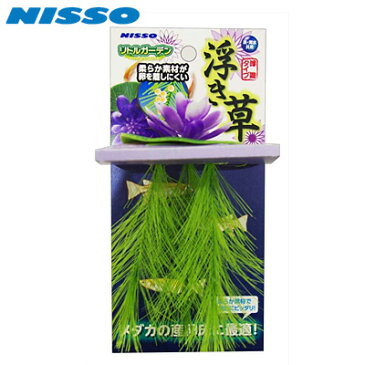 ニッソー リトルガーデン 浮き草 パープル NAP-521【水槽/熱帯魚/観賞魚/飼育】【生体】【通販/販売】【アクアリウム/あくありうむ】