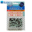 水作　ベタのアンモカット ビーズ ブルー＆ブラウン　【新着】【水槽/熱帯魚/観賞魚/飼育】【生体】【 ...