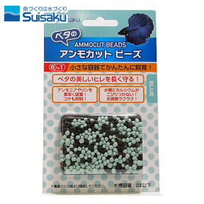 水作　ベタのアンモカット ビーズ ブルー＆ブラウン　【新着】【水槽/熱帯魚/観賞魚/飼育】【生体】【通販/販売】【アクアリウム/あくありうむ】【小型】