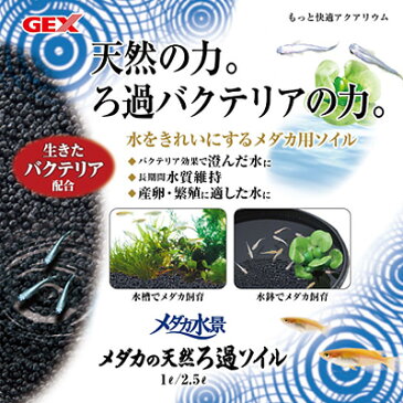 GEX メダカ水景 メダカの天然ろ過ソイル 1L 【水槽/熱帯魚/観賞魚/飼育】【生体】【通販/販売】【アクアリウム/あくありうむ】