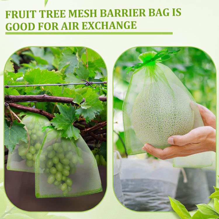 果物保護袋 【50枚セット 園芸用品 17×23cm】 4サイズ ネット 野菜 【50枚セット フルーツネット 果物保護ネット 果実 保護 防虫 防鳥 ネット 園芸ネット 巾着袋 鳥よけ網 果物 ガーデニング用品 フルーツ ガーデニング