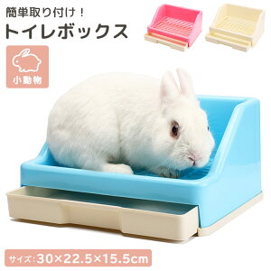 【ペット】うさぎを飼うのに必要な飼育グッズのおすすめは？