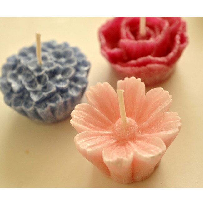 花づくし