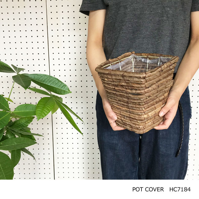 (���)�ХʥʻͳѤ���5���� ȭ���С� ���տ�ʪ �㤫�� �Хʥʤ��� �����ȭ���С� �ʥ�����ȭ���С� ���տ�ʪ�˺�Ŭ�Ǥ� ����ƥꥢ���꡼�� �������ȭ���С� 5�� FKTS �Х�󥿥��� �ۥ磻�ȥǡ�