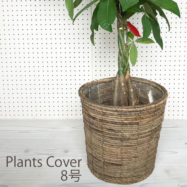 (資材)バナナ丸かご8号茶 鉢カバー 観葉植物 茶かご バナナかご 上質な鉢カバー ナチュラル鉢カバー 観葉植物に最適です インテリアグリーン おしゃれ鉢カバー 8号鉢 FKTS バレンタイン ホワイトデー