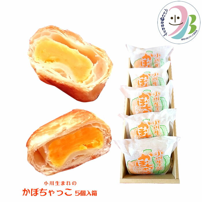 那珂川町ブランド認定品！！『日進堂菓子店』小川生まれのかぼちゃっ子 5個入箱（栃木県産品　那珂川町）