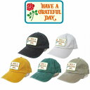 yzHAVE A GRATEFUL DAY 6 PANEL CAP OCgtfC 6plLbv jƂɔ₷[ŖÔȂVvȃtHŋGߖ킸p\ȃcCfރsOgH{ƂŃBe[WCNȕ\ȃLbv