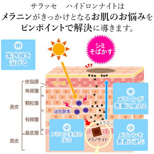 しみ シミ 男女兼用 しみ取り 化粧品 シミ取りクリーム しみ クリーム サラッセ ハイドロンナイト 6g (夜専用美容クリーム)純ハイドロキノン5%配合!(配送区分:B)