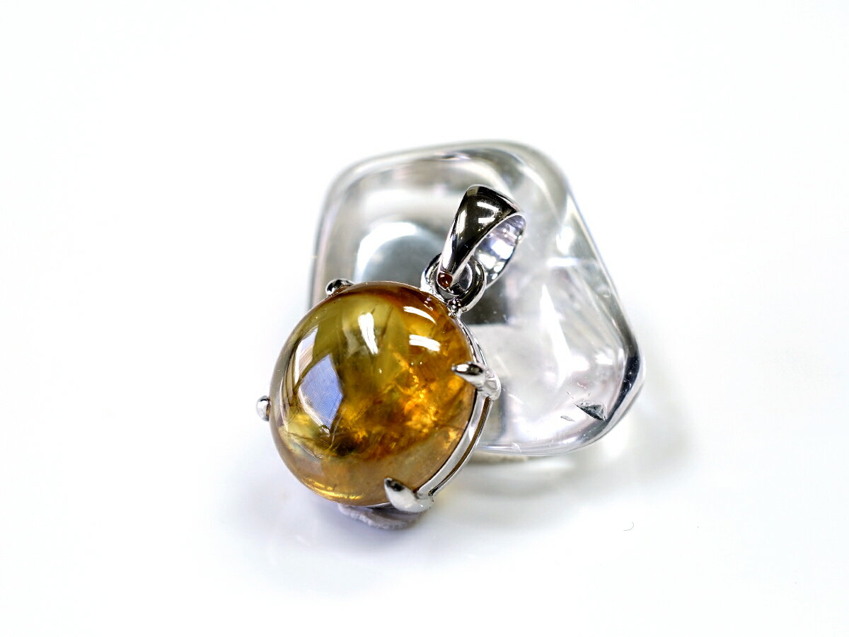 ���ե����� �ڥ����ȥȥåס�18��ۥ磻�ȥ�����ɡ� No.14 [ ������ʪ������ʪ ] �ѥ���ȡ��� ŷ���� FORESTBLUE �ե��쥹�ȥ֥롼��7307��