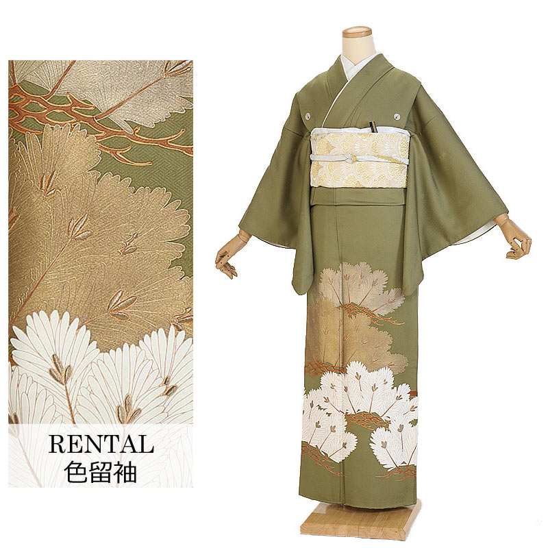 【レンタル】色留袖レンタル 正絹 松 抱き茗荷紋 緑 9号～13号 150～160cm 着物レンタル 新品足袋プレゼント 色留袖 草履 バッグ セット 袋帯 着物レンタル フルセット 150cm 155cm 160cm M L LL 貸衣装 j準礼装 0006
