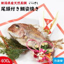 天然祝い鯛姿焼き お食い初め鯛 新潟県糸魚川産 新潟の料理店いっさくのお祝い鯛 百日祝い(100日祝い)鯛 調理済み 初節句 ひな祭り お雛祭り 鯛塩焼き 尾頭付き鯛 焼き鯛 七五三 こどもの日 端午の節句 お七夜 長寿 お祝い 祝箸 のし飾り 敷き紙 お食い初め料理 冷凍便