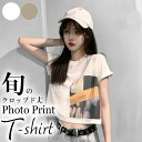 楽天FourNineフォトTシャツ レディース クロップド ショート丈 トップス 半袖 おしゃれ かわいい ロールアップ オーバーサイズ 大きいサイズ 流行 トレンド フリーサイズ 韓国ファッション あす楽対応 【メール便送料無料】