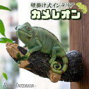 カメレオン 爬虫類 壁掛け インテリア リアル ウォールデコレーション オブジェ 置物 生き物 動物 自然 トカゲ イグアナ オシャレ お洒落 飾り 壁掛け式インテリア 送料無料