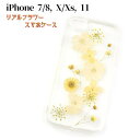 1000円ポッキリ 送料無料 スマートフォン ケース スマホケース iPhone7 8 iPhoneX XS iPhone11 ソフトケース 本物の花 アイフォンケース 花 リアルフラワーカバー ポッキリ