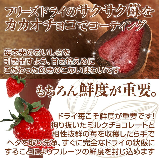 父の日 お中元 スイーツ ギフト お菓子 夏ギフト チョコレート チョコ おしゃれ いちご イチゴ 苺 洋菓子 プレゼント お取り寄せ 内祝い 神戸苺トリュフ(R)・カカオ(90g)お取り寄せスイーツ wd26苺トリュフ