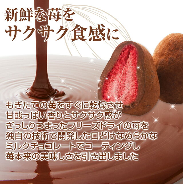 お中元 スイーツ ギフト お菓子 チョコレート チョコ おしゃれ いちご イチゴ 苺 洋菓子 プレゼント お取り寄せ 内祝い 神戸苺トリュフ・カカオ(90g)お取り寄せスイーツ frantz-10002532 神戸フランツ スイーツ&ギフト サンプル画像3