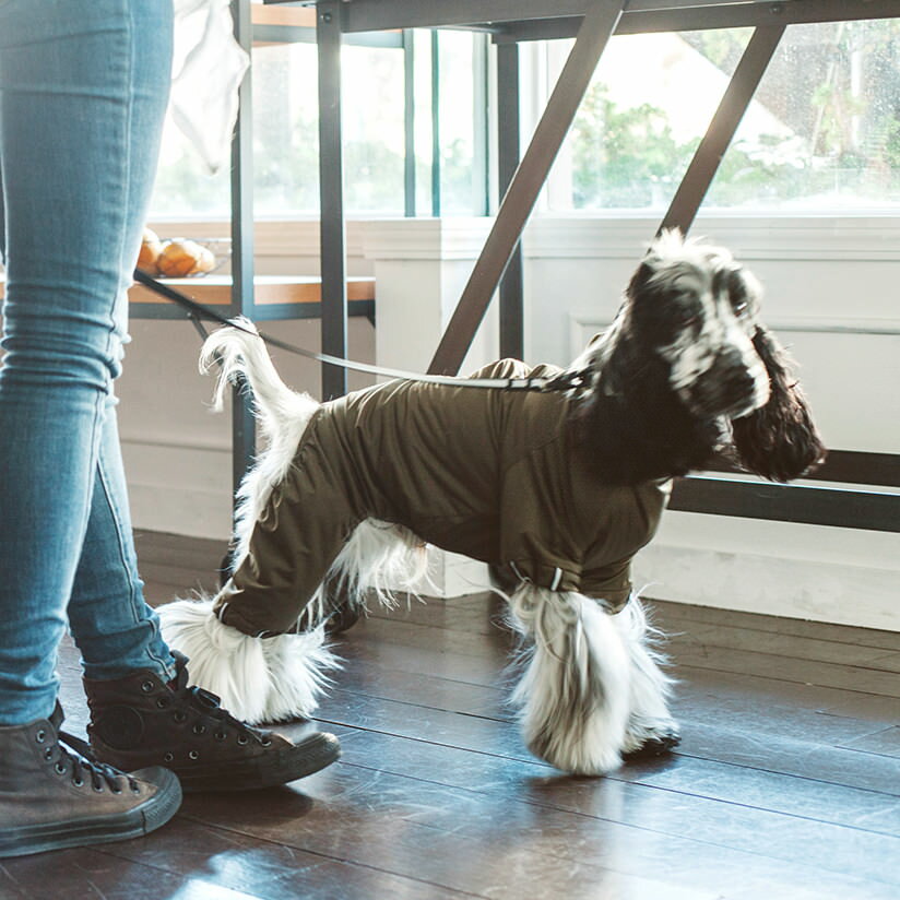 犬 レインコート オリジナル 中型犬 レインウェア 雨具 カッパ ドッグ ドッグウェア 犬服 柴犬 レイン アウトドア おしゃれ 防水 梅雨 雪 雨 あめ 散歩 かっぱ 四本足 コッカー ジャックラッセル ドゥードル シュナ ストレッチレインコート LL/3L