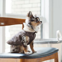 犬 ジャケット 服 洋服 ジャケット ボンバー ジャケット S M Free Stitch 犬 服 手触りのいいフェイクレザーとボアの丸襟でかわいい おしゃれ 犬 ペット シンプル お出掛け 犬用 ウェア 洋服 犬 ジャケット 服 洋服 ジャケット ボンバー ジャケット S M Free Stitch 犬 服 手触りのいいフェイクレザーとボアの丸襟でかわいい おしゃれ 犬 ペット シンプル お出掛け 犬用 ウェア 洋服