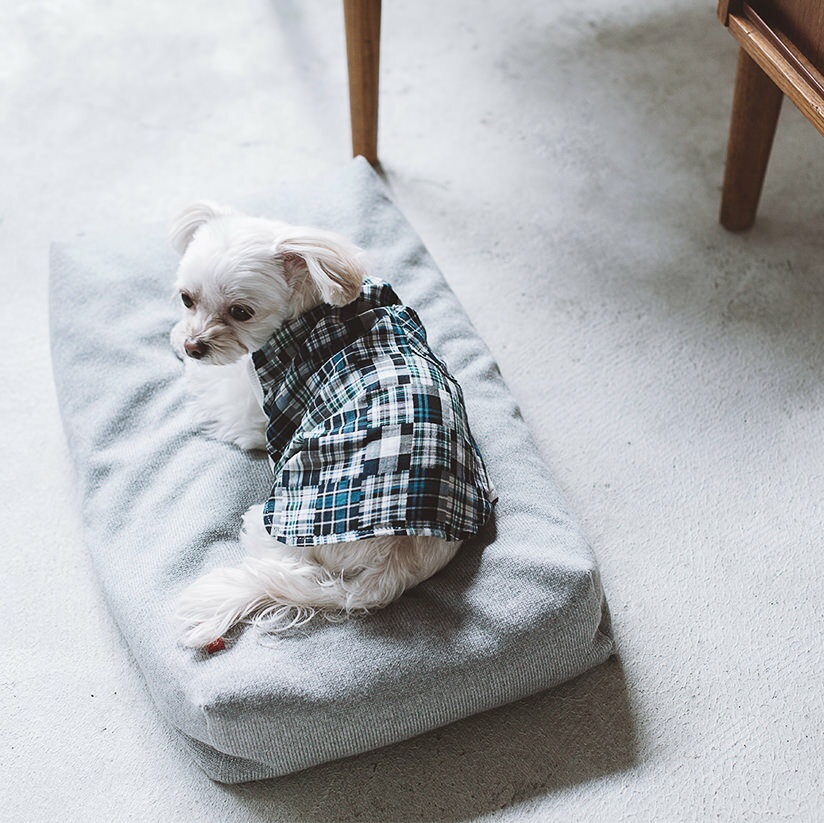 【犬　ベッド】送料無料　犬用　いぬ　ドッグ　dog　シンプル　おしゃれ　日本　ペット用　ペット　ベッド　マット　天竺　洗える　選択　ふかふか　dogbed　小型犬　中型犬コットン ジャージ スクエア ベッド S サイズ　犬