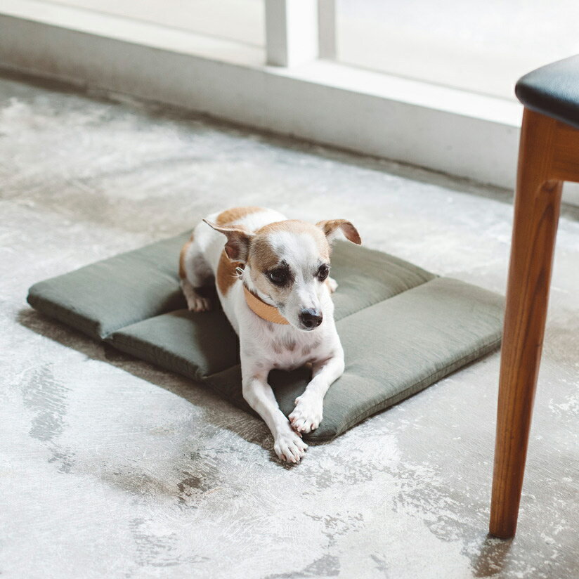 【犬　ベッド】犬用　いぬ　ドッグ　dog　シンプル　おしゃれ　日本　ペット用　ペット　ベッド　マット　洗える　洗濯　ふかふか　dogbed　かばん　キャリー　キャリーバッグ　小型犬　中型犬コットン リネン ソフト マット M サイズ　犬用