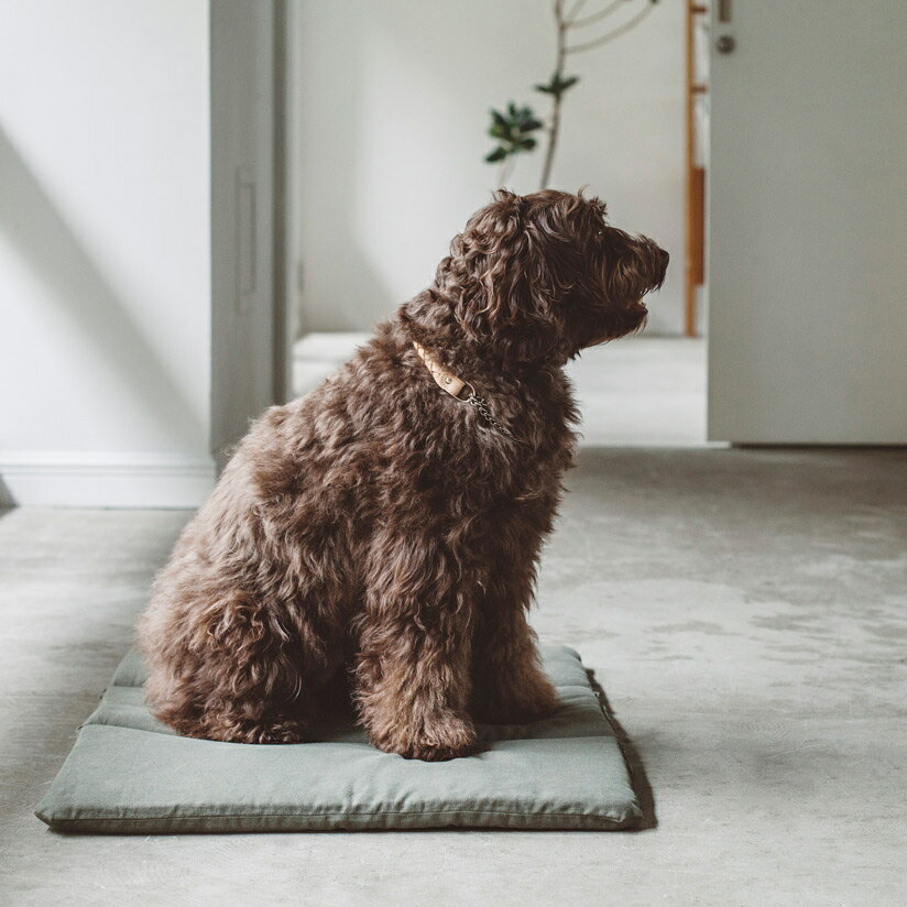 【犬　ベッド】犬用　いぬ　ドッグ　dog　シンプル　おしゃれ　日本　ペット用　ペット　ベッド　マット　洗える　洗濯　ふかふか　dogbed　かばん　キャリー　キャリーバッグ　中型犬　ドゥードルコットン リネン ソフト マット　LL サイズ　犬