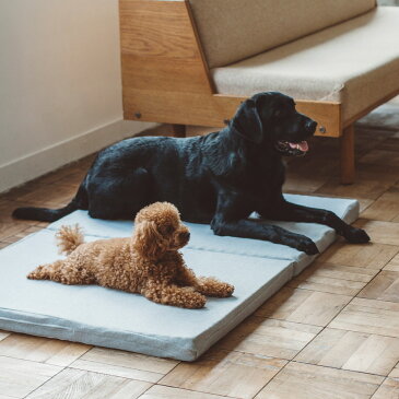 【犬 マット】コットンジャージ デュアル ウェーブ ベッド LL サイズ冬【ハウス ドーム 犬ベッド 室内 大型犬】 おしゃれ シニア犬 シニア シンプル