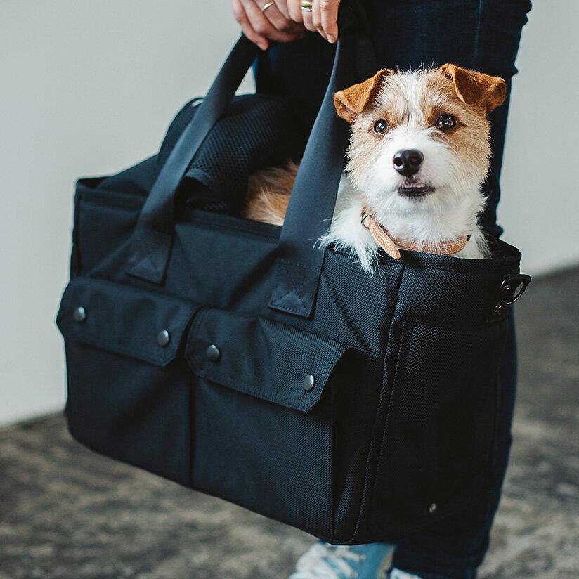 �� ǭ �ڥå� ����꡼�Хå� �ȡ��ȥХå� �ȡ��ȥХå� �Хå��ѥå� ����꡼ �ä��� �̵��� ���ä� ����꡼������ ��ޯ�� ���� ���Ǥ��� ι�� ���� �ɺ� �ڤ� ��ñ �Ȥ��䤹�� ��ų��������� ���� ��ǽ ������ �ѵ����Х륳�ǥ� ����꡼ L ������������